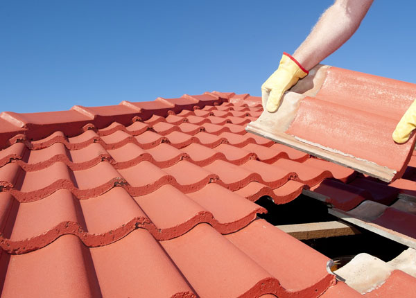 About Cedar MN Roofers